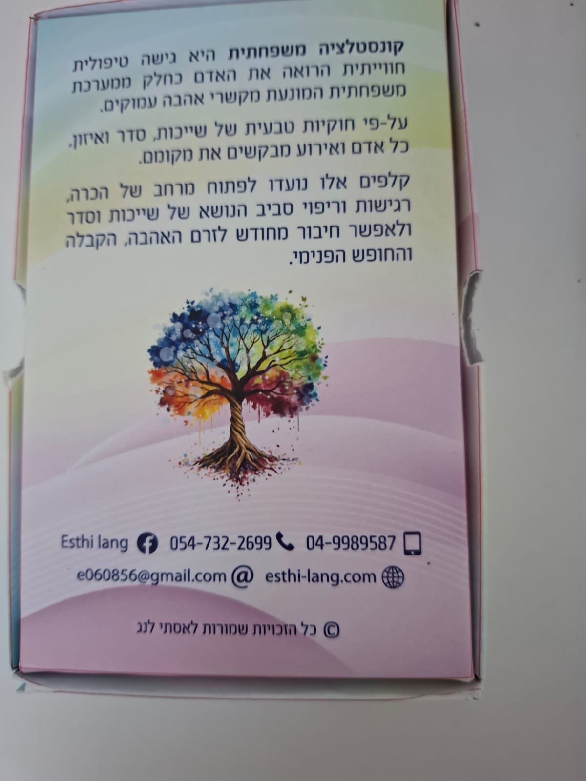 WhatsApp Image 2026-01-20 at 10.58.14